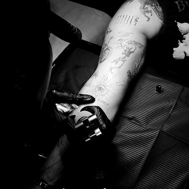 Zed the studio dog takes tattoo aftercare very seriously