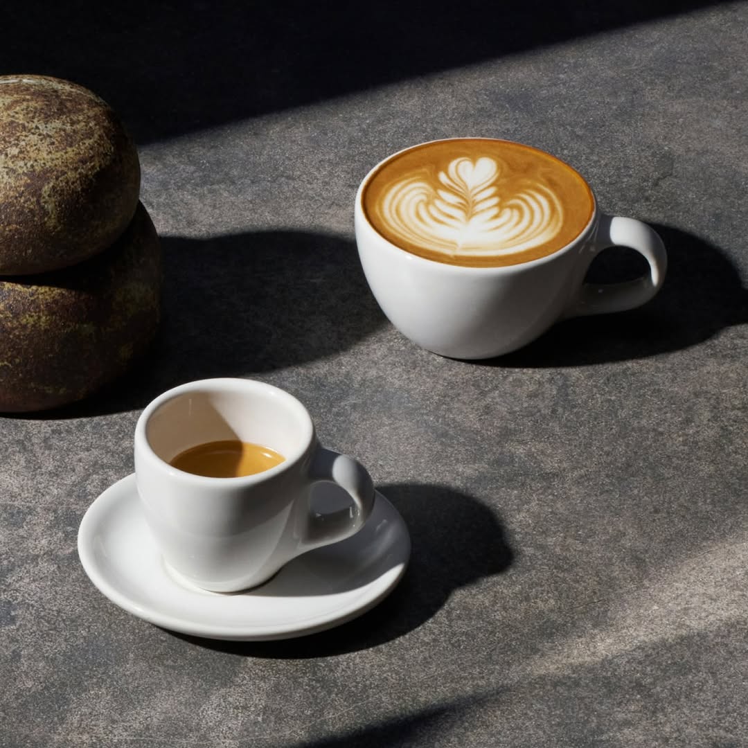 Studio Blend — Beyond Arabica, a limited-release coffee exploring the future of coffee's flavor