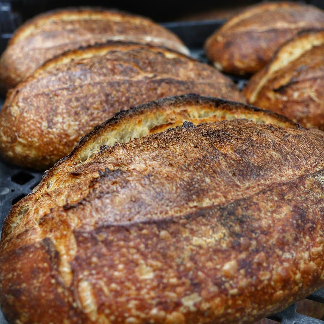 Country loaf fresh from the oven — golden crust and rustic texture